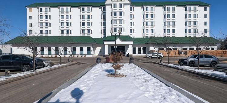 卡尔加里机场-迪维亚苏特拉广场及会议中心(Divya Sutra Plaza and Conference Centre Calgary Airport)图片