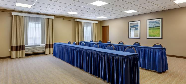 马丁斯堡舒适酒店(Comfort Inn Aikens Center)图片