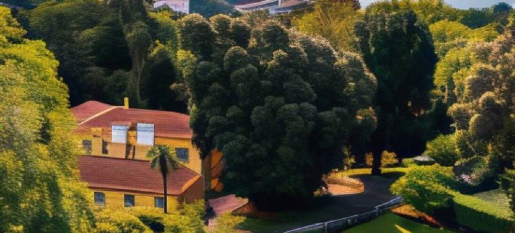 帕列罗威哈民宿乡村旅馆 - 罗莱夏朵精品酒店集团(Casa Velha do Palheiro Relais & Chateaux)图片