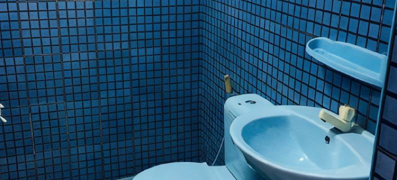 Bathiya Tourist Guest Anuradhapura图片