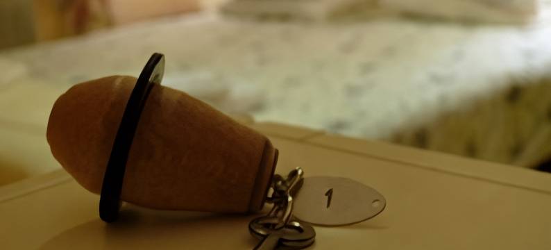 佩奥洛夫加登酒店(Hotel PerOlofGården)图片