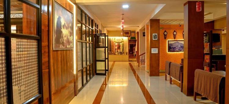 罗玛纳大楼酒店(Ramana Towers)图片