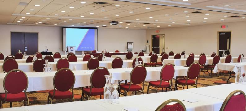 丽筠国会大厦边缘酒店(Radisson Hotel St. Paul Downtown)图片