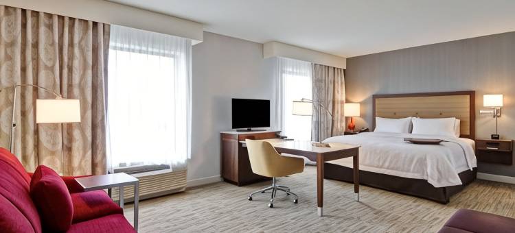 底特律特洛伊欢朋套房酒店(Hampton Inn & Suites Detroit/Troy)图片