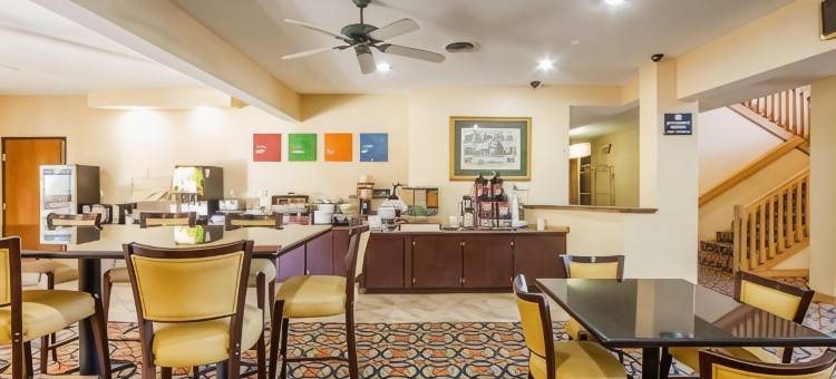 舒适套房酒店(Comfort Suites)图片