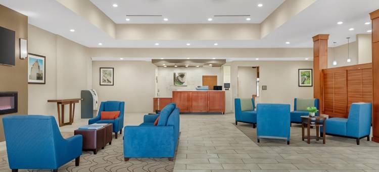 格林斯伯勒 - 高点舒适套房酒店(Comfort Suites Greensboro-High Point)图片