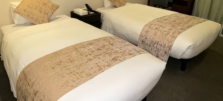 六本木广场酒店(Roppongi Plaza Hotel)图片