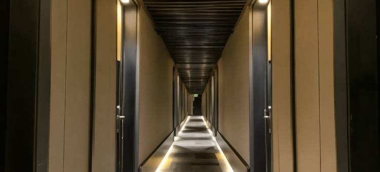 圣迭戈普罗维登西亚欧拉酒店 - 希尔顿启缤精选酒店(Ola Santiago Providencia, Tapestry Collection by Hilton)图片