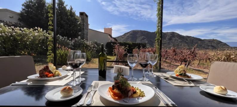 威纳斯卡法亚特葡萄酒度假酒店(Viñas De Cafayate Wine Resort)图片