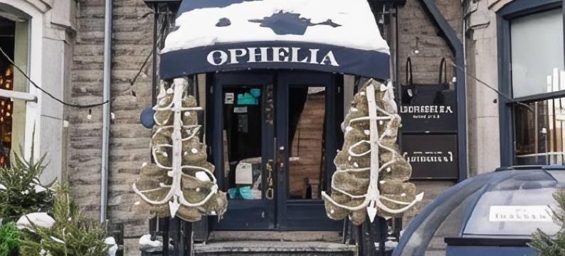 Ophelia精品酒店(Hôtel Boutique Ophelia)图片