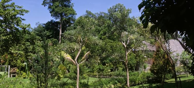 岩石山林小屋＆餐馆(On the Rocks Bungalows, Restaurant and Jungle Trekking Tours)图片