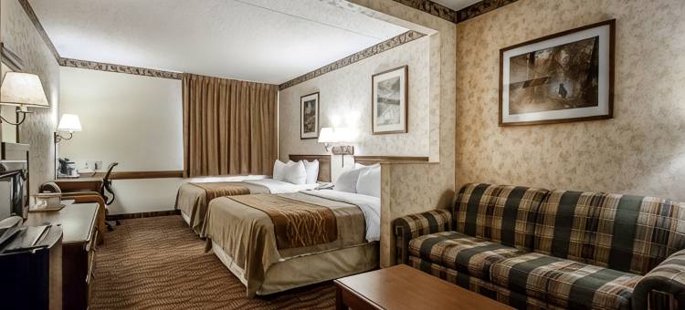 布兰森梅多斯舒适套房酒店(Comfort Inn & Suites Branson Meadows)图片