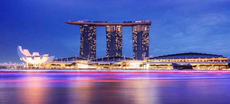 新加坡宜必思快捷店-实利基(ibis budget Singapore Selegie)图片