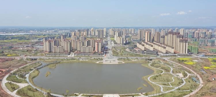 翔凤大酒店图片