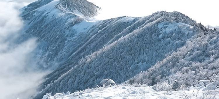 杭州云顶山居民宿图片