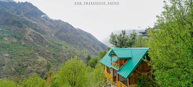 Himalayan Abode Tree House图片