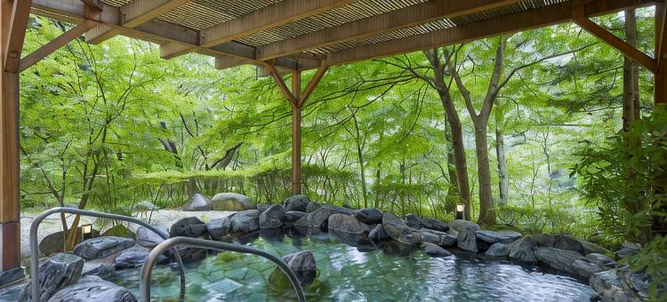 鬼怒川哈韦斯特度假酒店(Hotel Harvest Kinugawa)图片