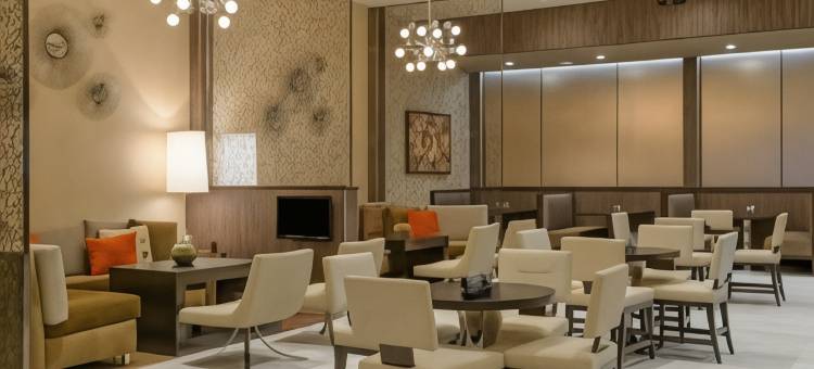 休斯顿西环商业街廊万豪酒店(Houston Marriott West Loop by the Galleria)图片