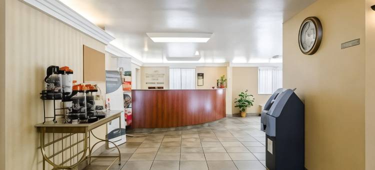 奇科皮-斯普林菲尔德品质酒店(Quality Inn Chicopee-Springfield)图片