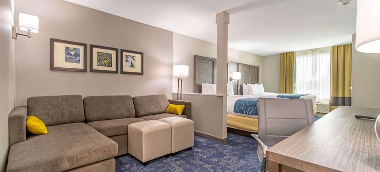 休斯顿IAH舒适套房酒店(Comfort Suites Humble Houston IAH)图片