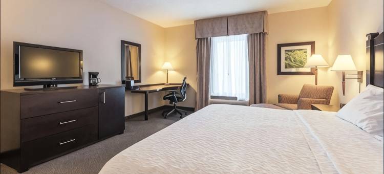 蒙克顿新不伦瑞克希尔顿欢朋套房酒店(Hampton Inn & Suites by Hilton Moncton)图片