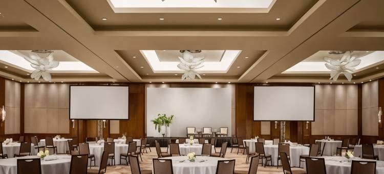 多伦多丽思卡尔顿酒店(The Ritz-Carlton, Toronto)图片