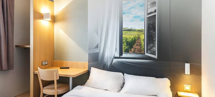 博库泽 1 昂杰酒店民宿(B&B Hotel Angers 1 Beaucouzé)图片