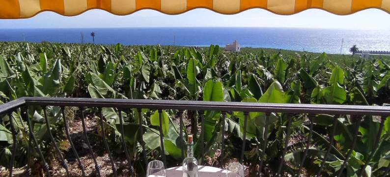 Trébol "Trail Mountain la Palma" Vistas Al Mar图片