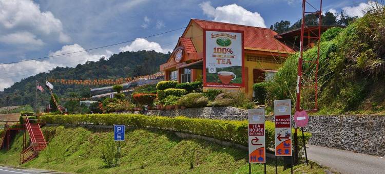位于瓜拉特拉的3卧室公寓-1151平方米|带2个独立浴室(Peony Square Tea view @KualaTerla CameronHighlands)图片