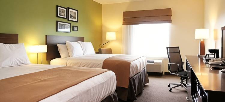 舒眠酒店及套房-圆石城-奥斯汀北部(Sleep Inn & Suites Round Rock - Austin North)图片