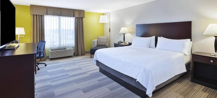 奈尔斯智选假日酒店(Holiday Inn Express & Suites Niles)图片