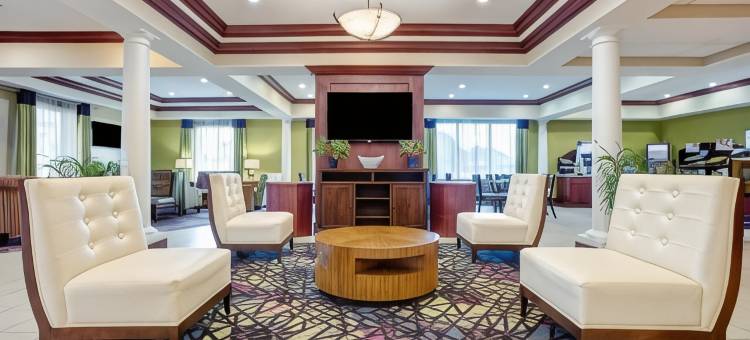 Holiday Inn Express & Suites RACELAND - 公路90 by IHG(Holiday Inn Express & Suites Raceland - Highway 90)图片