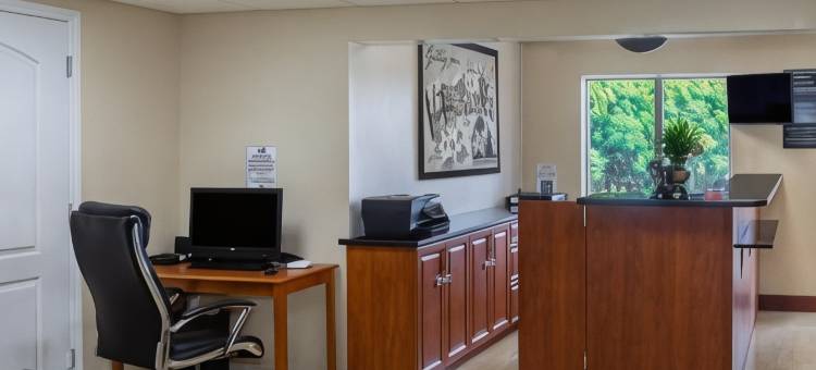 布雷登顿-萨拉索塔地区速8酒店(Super 8 by Wyndham Bradenton Sarasota Area)图片