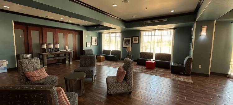 皮尔索尔的品质套房酒店(Quality Inn & Suites Pearsall)图片