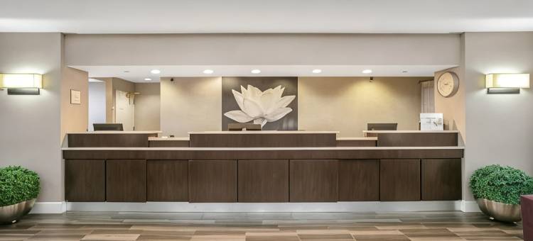 欧文DFW机场南拉昆塔温德姆套房酒店(La Quinta Inn & Suites by Wyndham DFW Airport South / Irving)图片