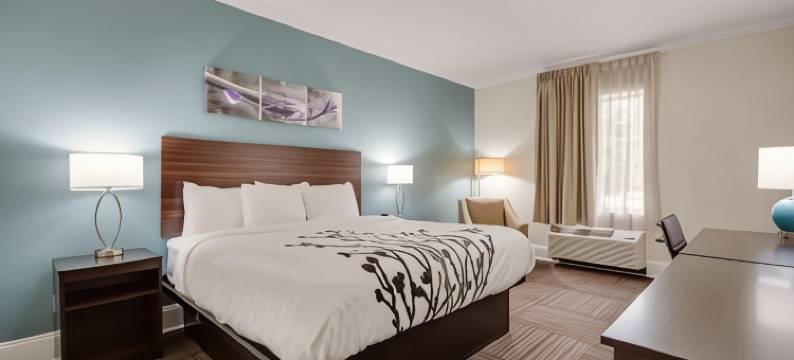 舒眠酒店及套房-尼斯维尔-德斯廷(Sleep Inn & Suites Niceville - Destin)图片