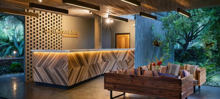 兰卡瓦特拉海洋度假酒店及Spa(Lankavatara Ocean Retreat & Spa)图片