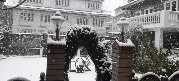 布鲁明戴尔(Blooming Dale Hotel)图片