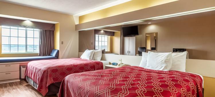 伊康套房旅馆(Econo Lodge Inn & Suites Evansville)图片