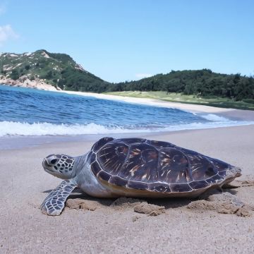 惠州+巽寮湾+双月湾5日4晚拼小团