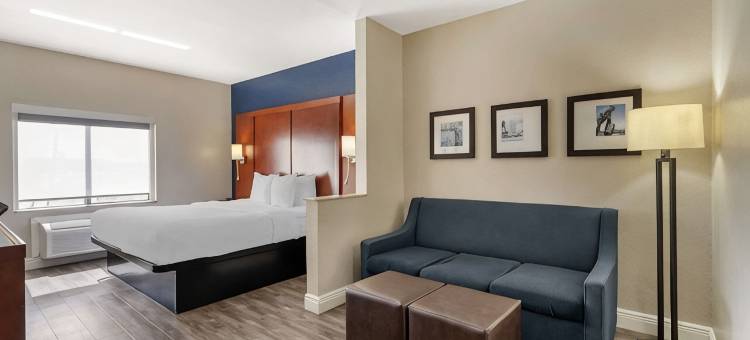 杰克逊维尔西舒适套房酒店(Comfort Suites West Jacksonville)图片
