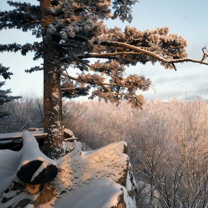 伊春3日2晚私家团