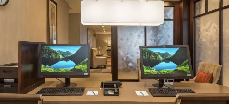 波士顿莫尔伯勒Homewood Suites by Hilton(Homewood Suites by Hilton Boston Marlborough)图片