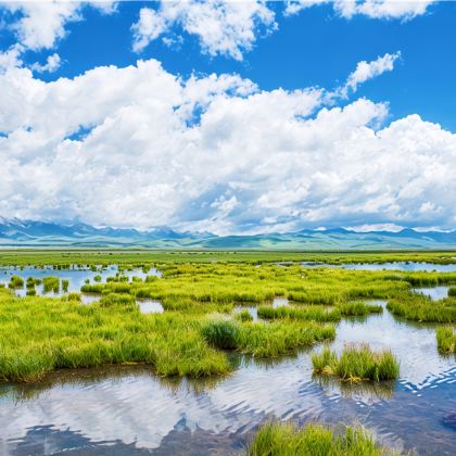 兰州+甘南+甘加秘境+拉卜楞寺+扎尕那+郎木寺镇+黄河九曲第一湾5日4晚跟团游