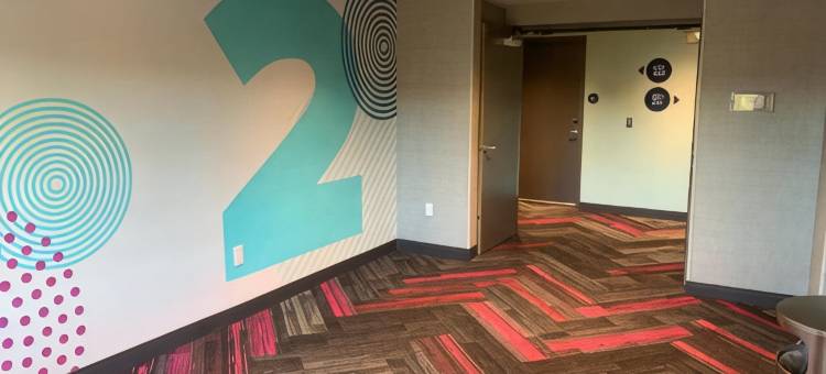 格林斯伯勒希尔顿Tru酒店(Tru by Hilton Greensboro)图片