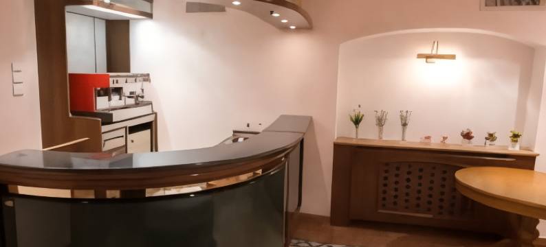 辛比克斯克酒店(Simbirsk Hotel)图片