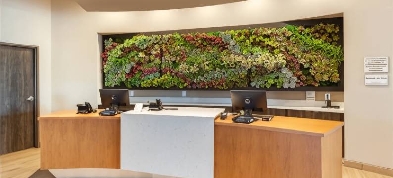 达拉斯理查森坎布里亚酒店(Cambria Hotel Richardson - Dallas)图片