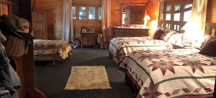 阿迪朗达克山脉温馨,僻静滨水山林小屋. 宠物友好(Cozy,secluded waterfront lodge nestled in the Adirondack Mountains. Pet friendly)图片