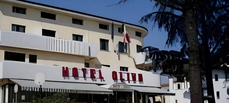 橄榄酒店(Hotel Oliva)图片