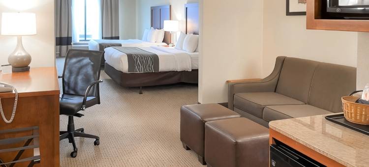 舒适酒店及套房罗杰斯维尔(Comfort Inn & Suites)图片